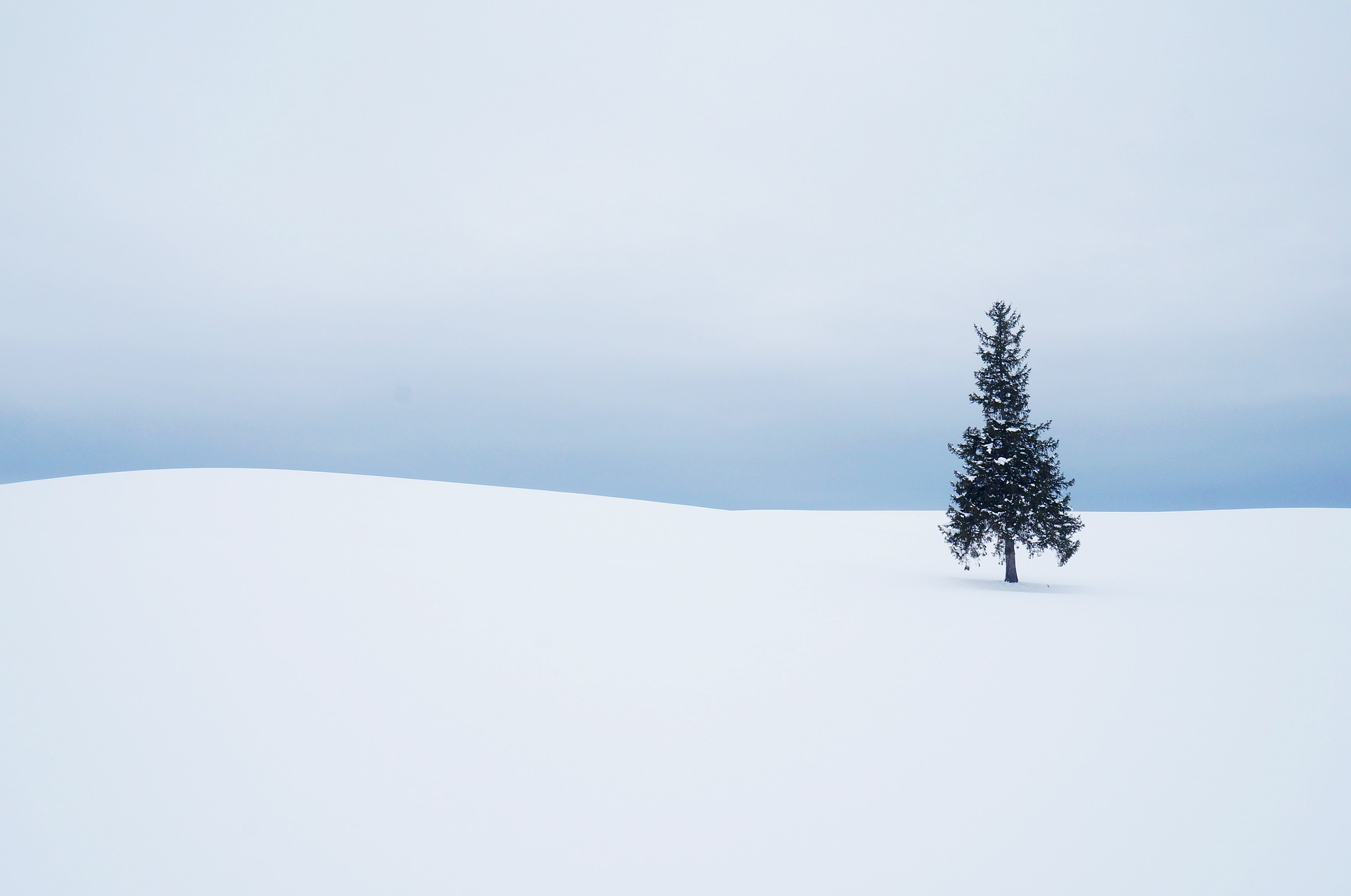 雪景色